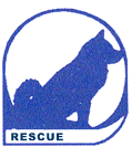 Akita - Rescue